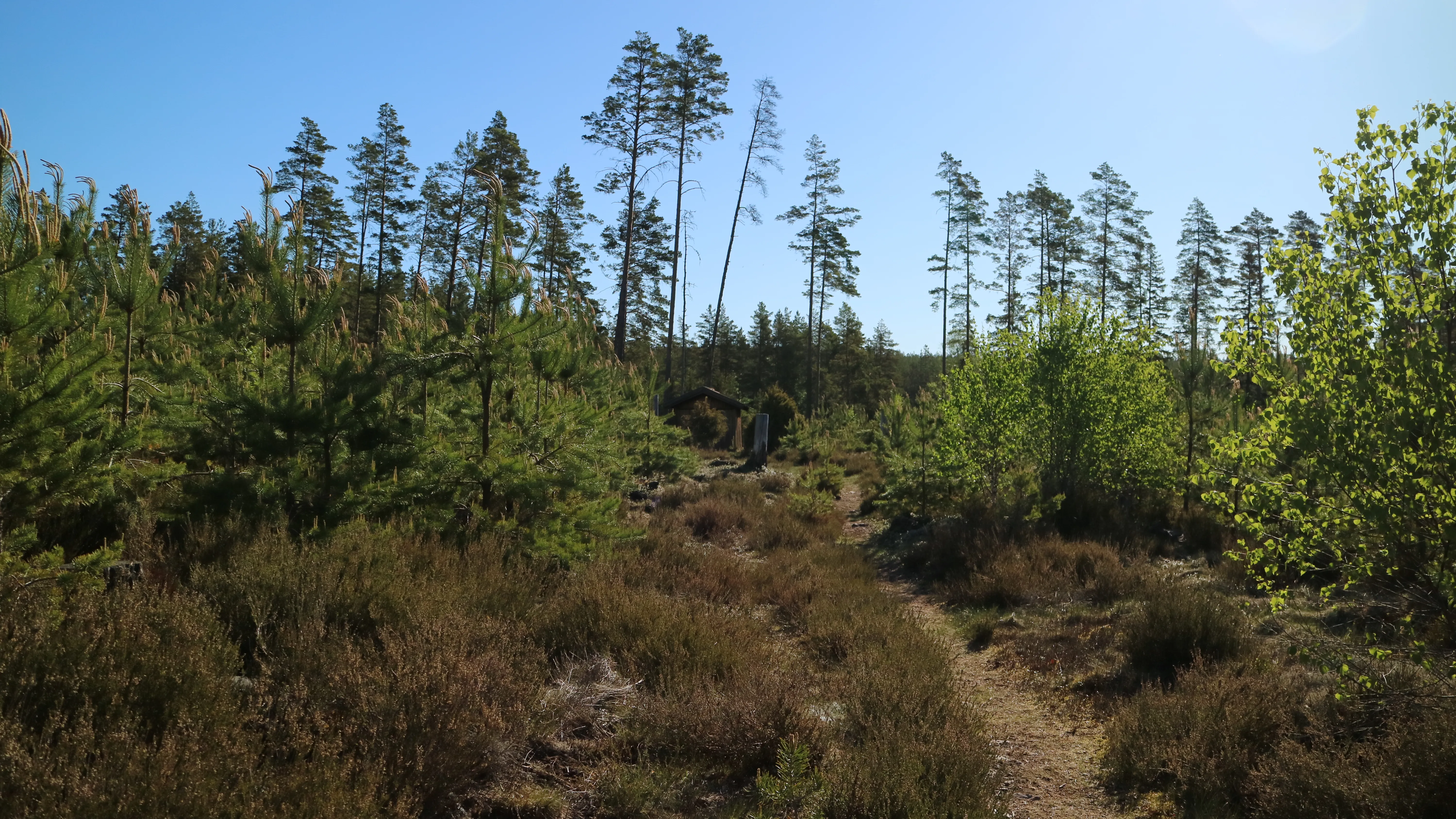 Alsterån