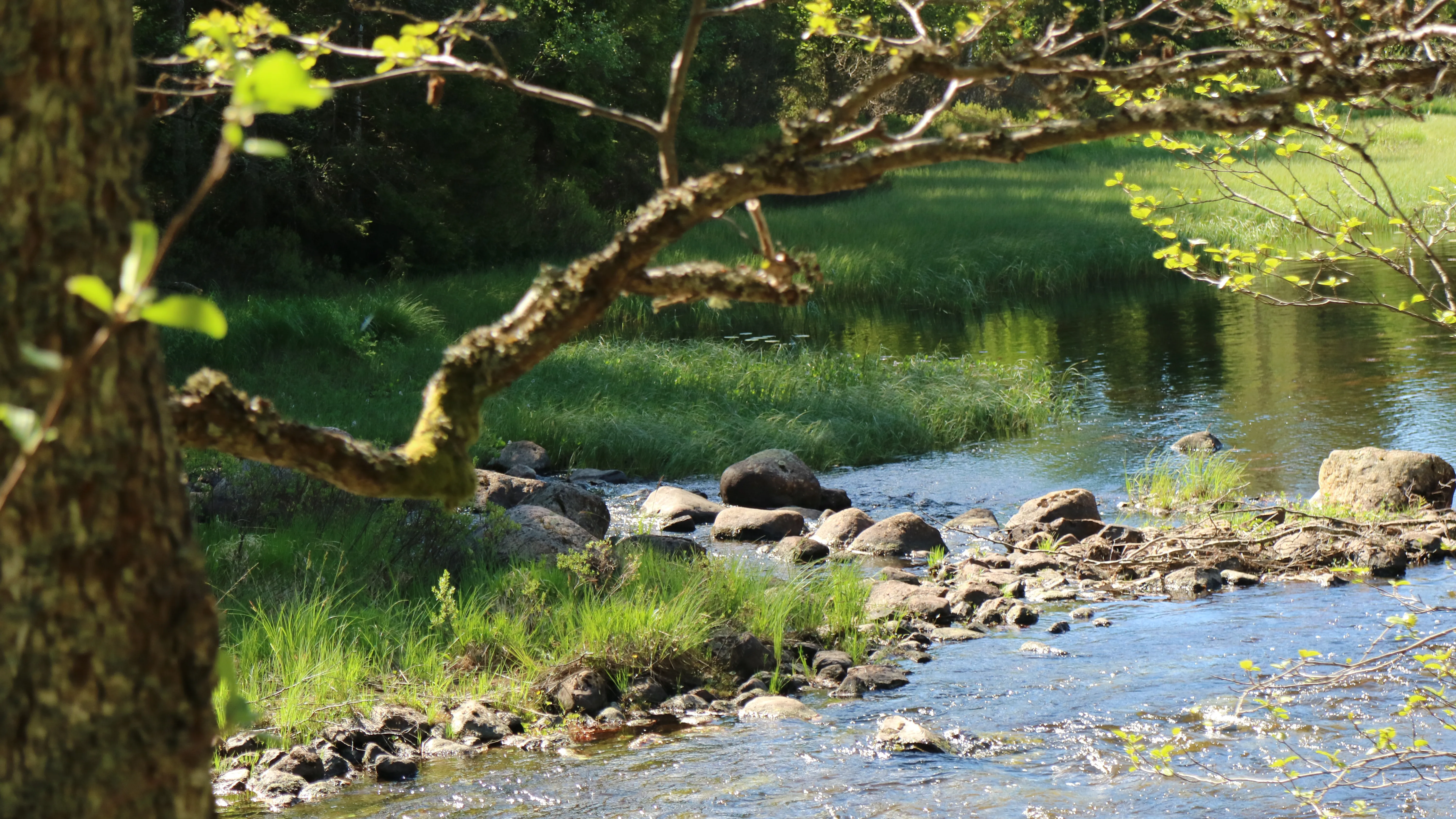Alsterån