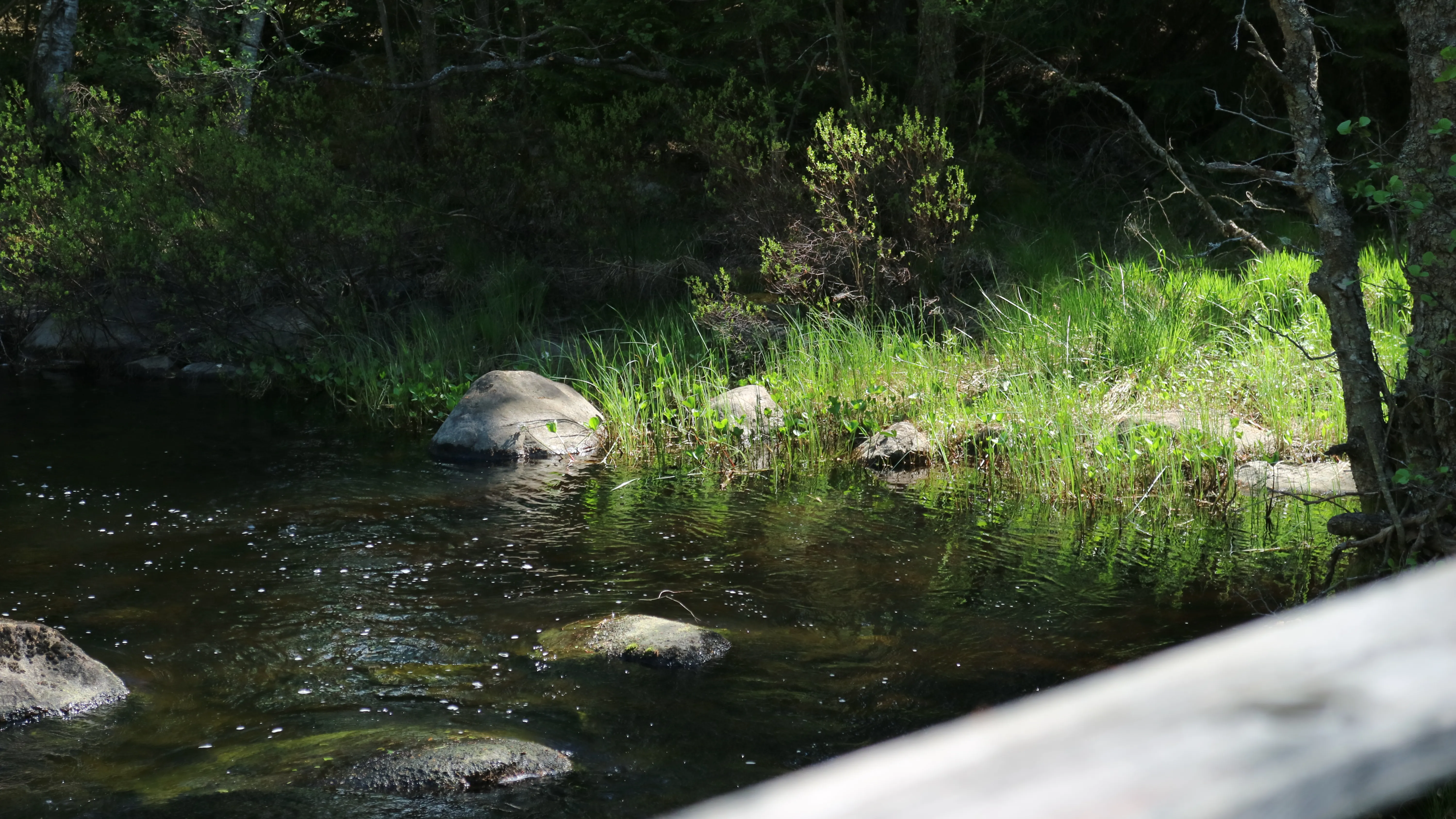Alsterån