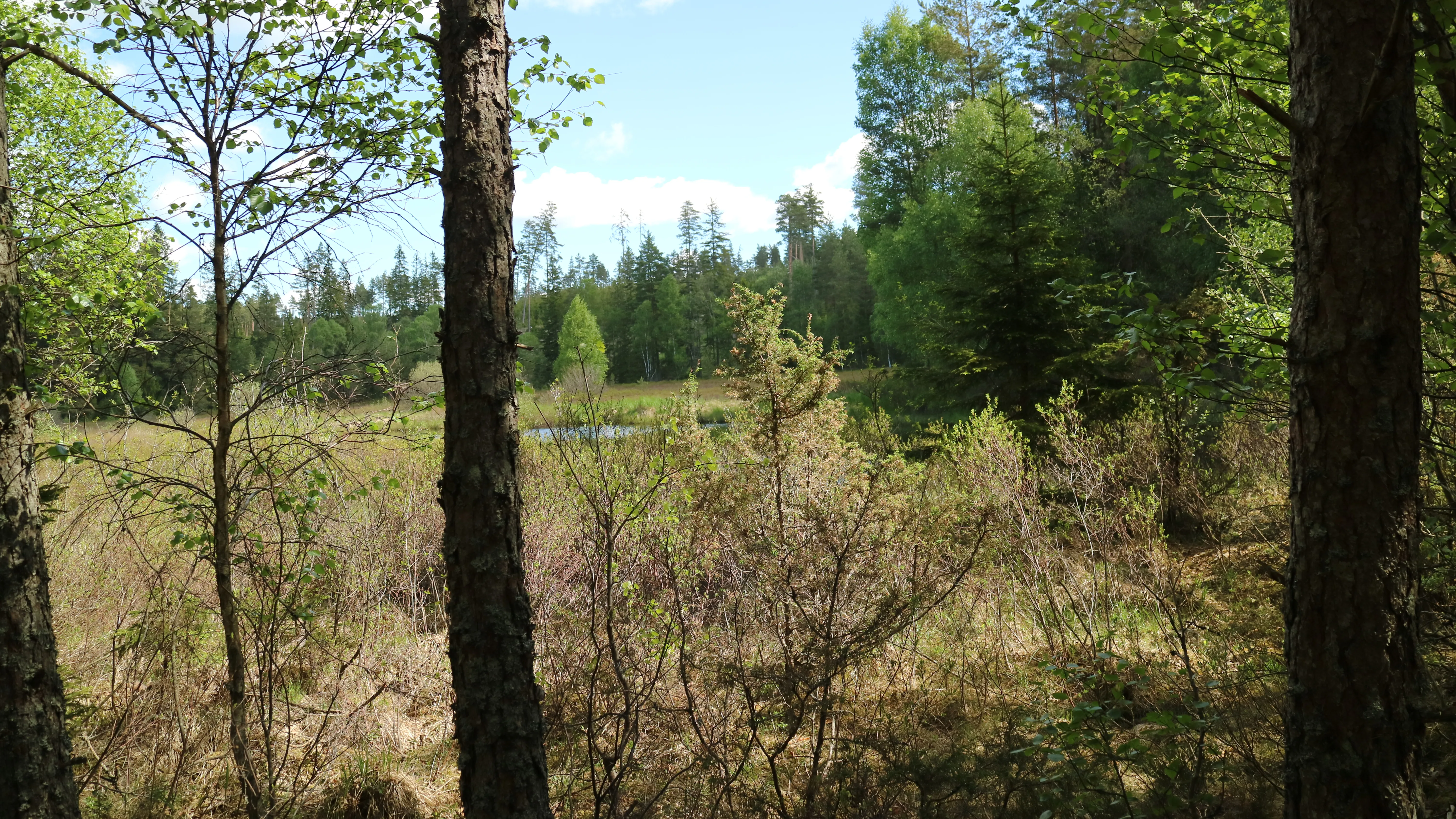 Alsterån