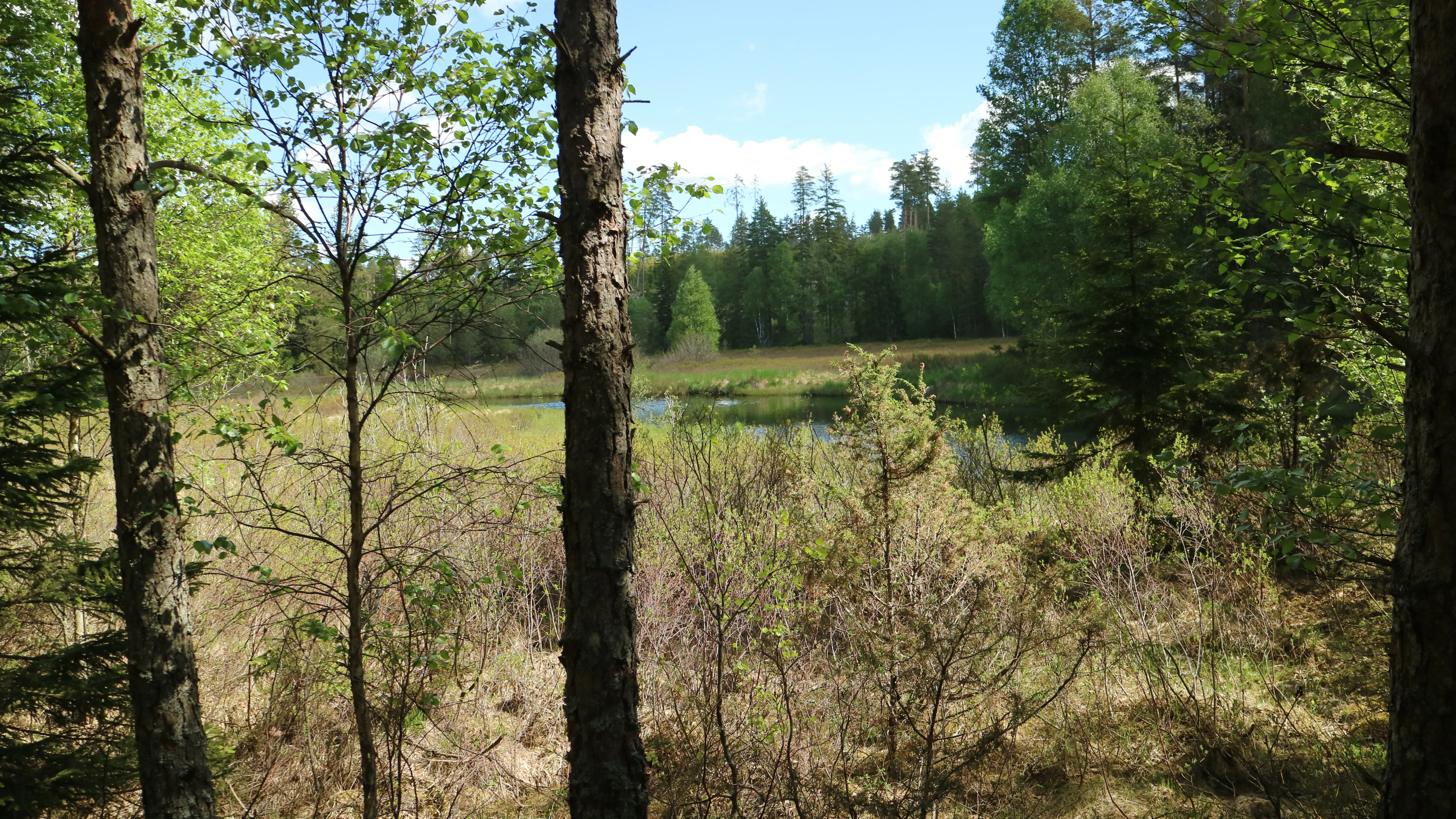 Alsterån