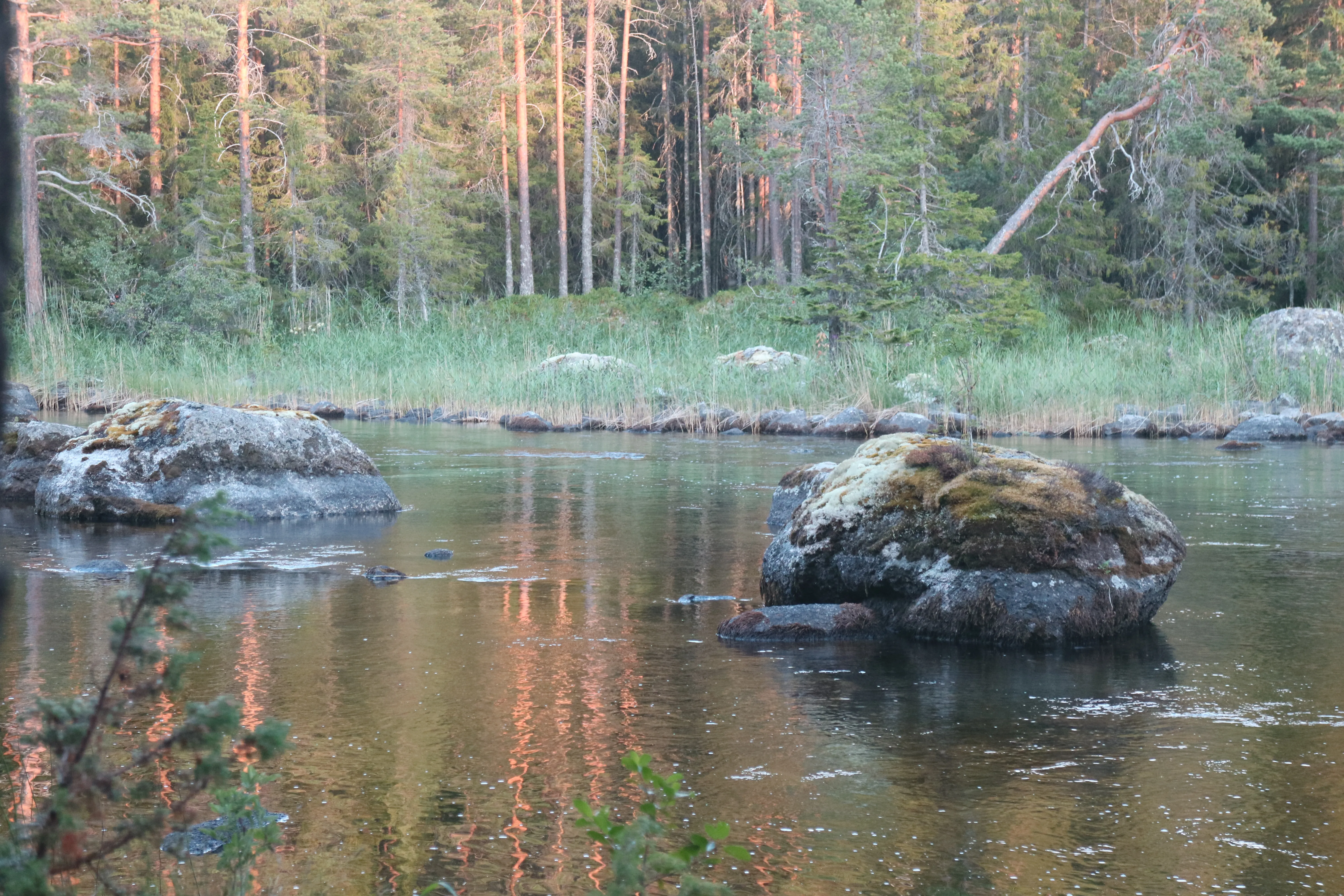 Gimån