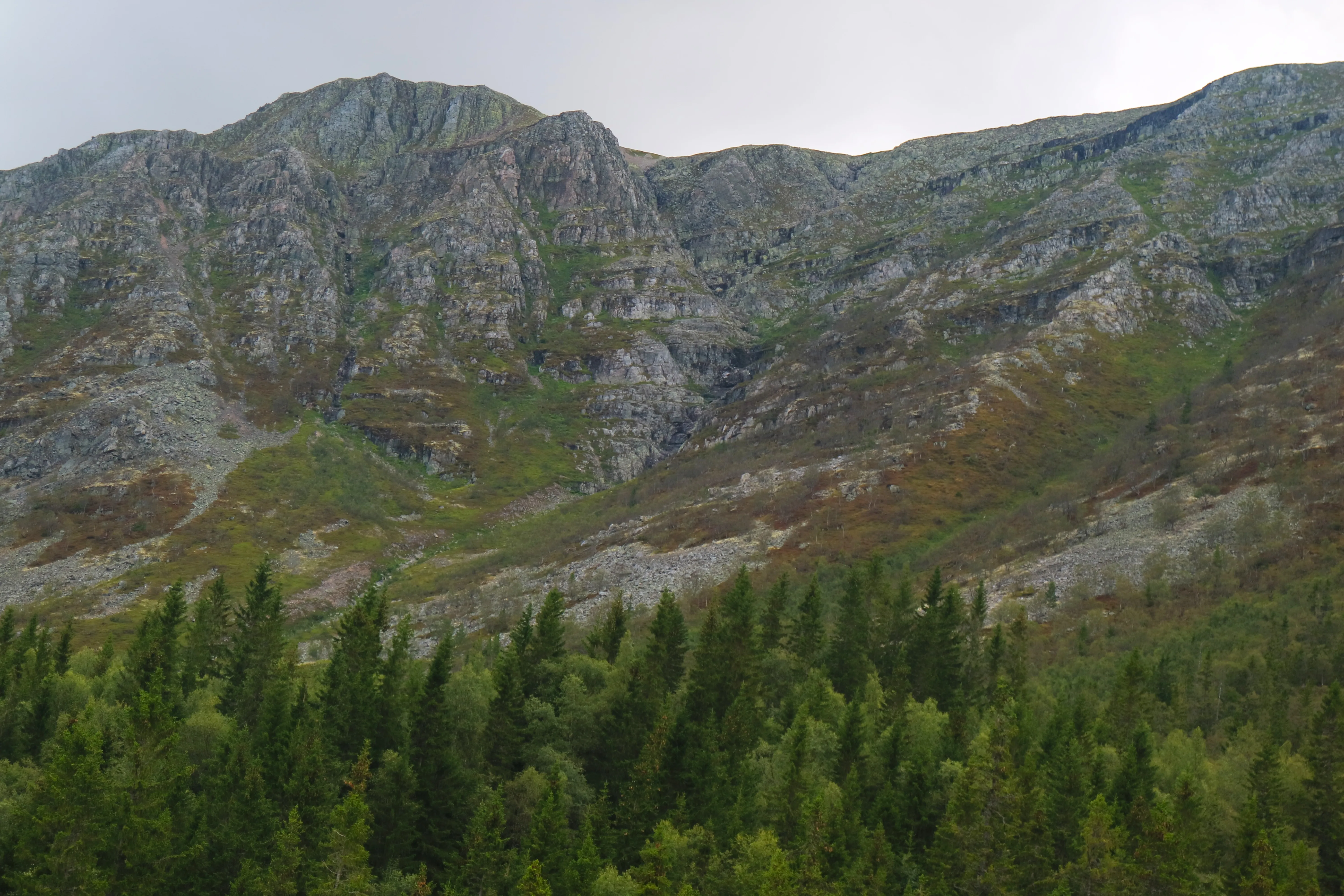Trysilelva